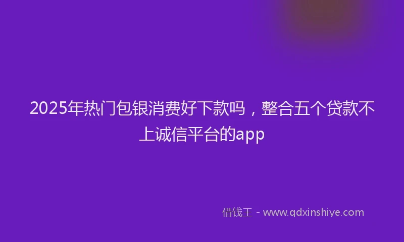 2025年热门包银消费好下款吗，整合五个贷款不上诚信平台的app