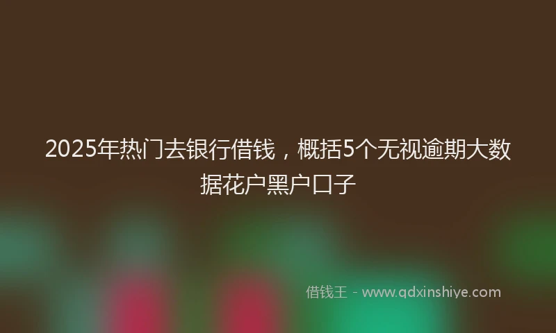 2025年热门去银行借钱，概括5个无视逾期大数据花户黑户口子