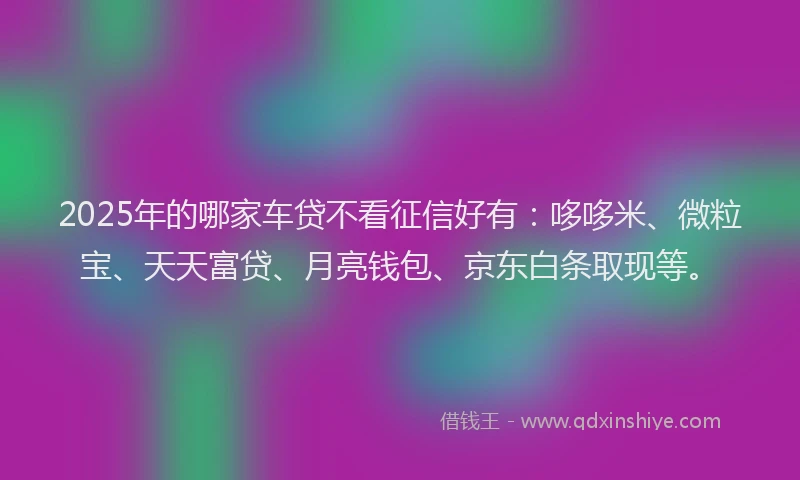 2025年的哪家车贷不看征信好有：哆哆米、微粒宝、天天富贷、月亮钱包、京东白条取现等。