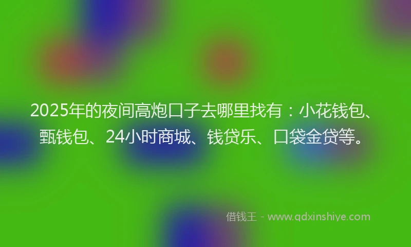2025年的夜间高炮口子去哪里找有：小花钱包、甄钱包、24小时商城、钱贷乐、口袋金贷等。