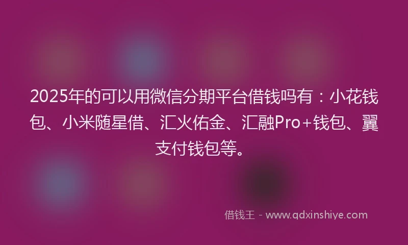 2025年的可以用微信分期平台借钱吗有：小花钱包、小米随星借、汇火佑金、汇融Pro+钱包、翼支付钱包等。