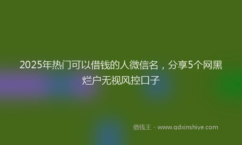 2025年热门可以借钱的人微信名，分享5个网黑烂户无视风控口子