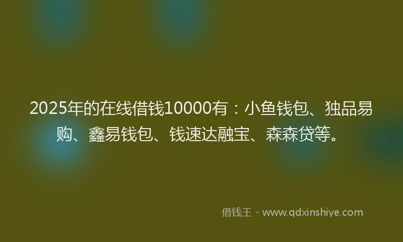 2025年的在线借钱10000有：小鱼钱包、独品易购、鑫易钱包、钱速达融宝、森森贷等。