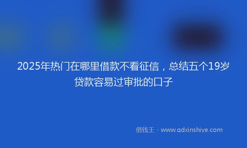 2025年热门在哪里借款不看征信，总结五个19岁贷款容易过审批的口子