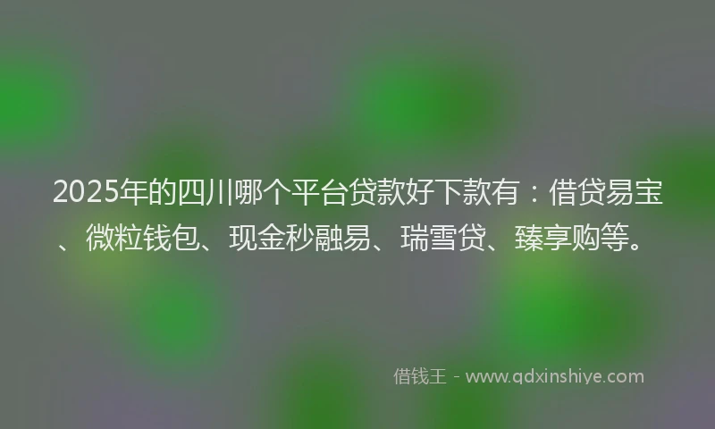 2025年的四川哪个平台贷款好下款有：借贷易宝、微粒钱包、现金秒融易、瑞雪贷、臻享购等。