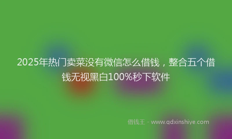 2025年热门卖菜没有微信怎么借钱，整合五个借钱无视黑白100%秒下软件