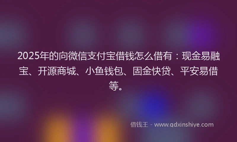 2025年的向微信支付宝借钱怎么借有：现金易融宝、开源商城、小鱼钱包、固金快贷、平安易借等。