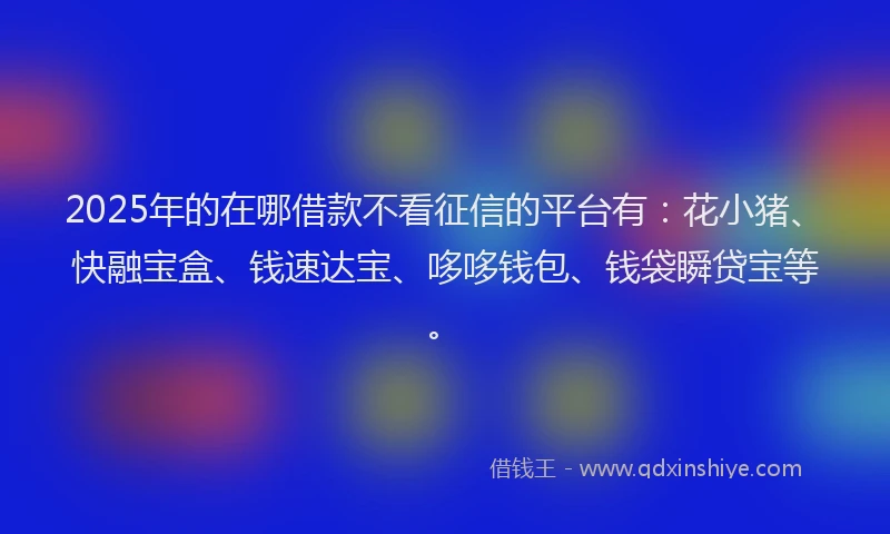 2025年的在哪借款不看征信的平台有：花小猪、快融宝盒、钱速达宝、哆哆钱包、钱袋瞬贷宝等。