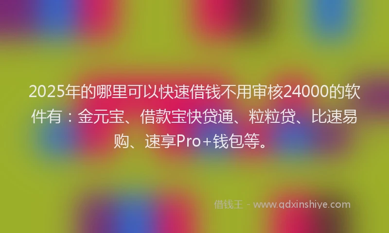 2025年的哪里可以快速借钱不用审核24000的软件有：金元宝、借款宝快贷通、粒粒贷、比速易购、速享Pro+钱包等。
