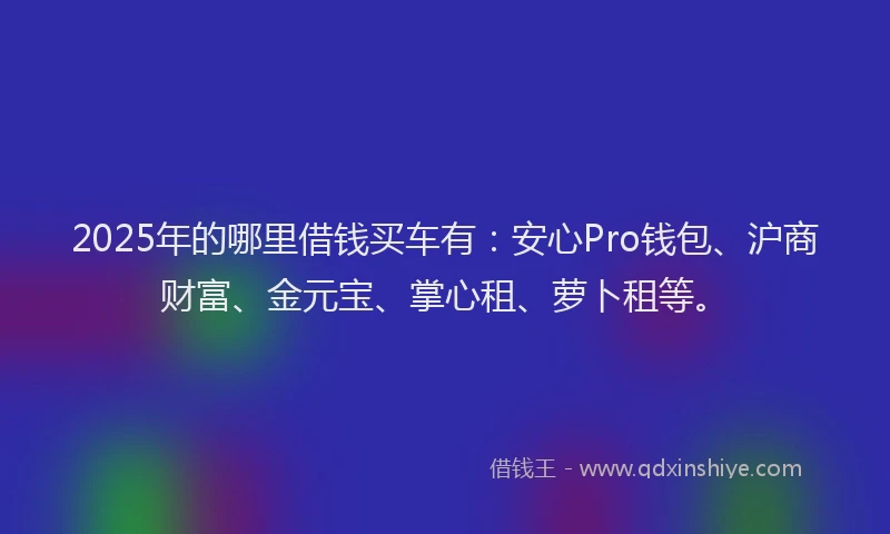 2025年的哪里借钱买车有：安心Pro钱包、沪商财富、金元宝、掌心租、萝卜租等。