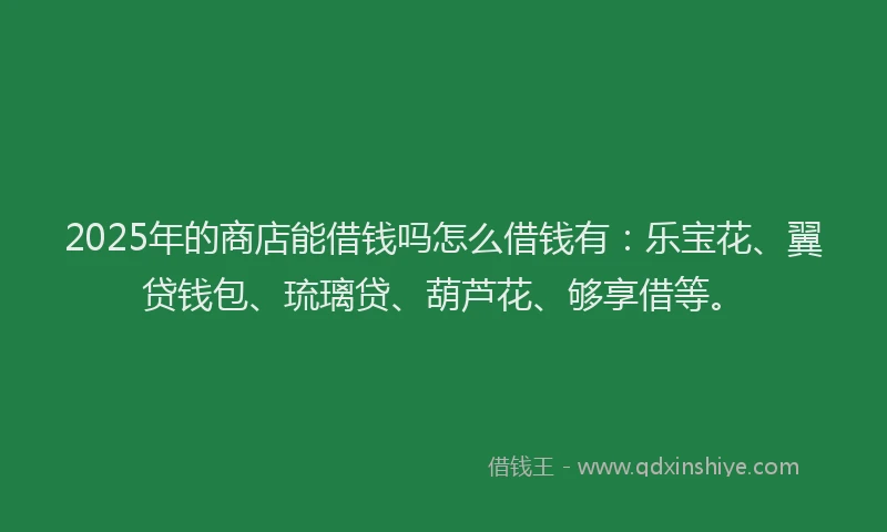 2025年的商店能借钱吗怎么借钱有：乐宝花、翼贷钱包、琉璃贷、葫芦花、够享借等。