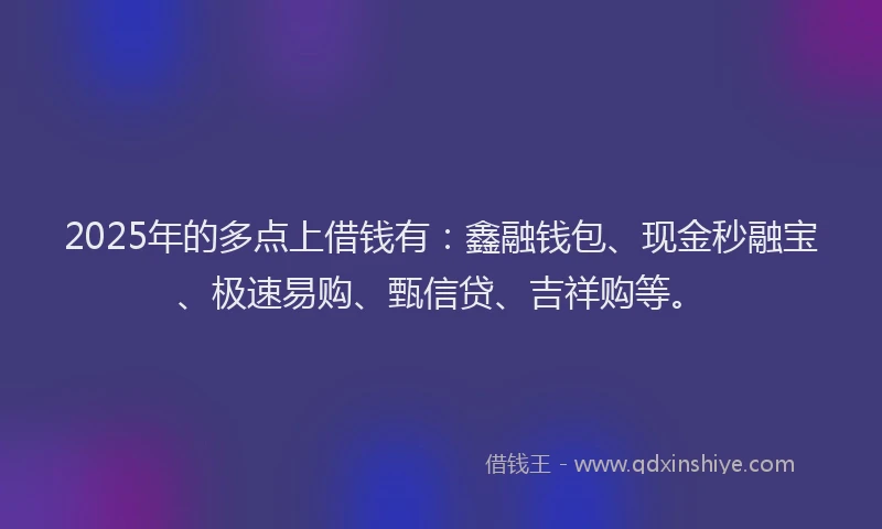 2025年的多点上借钱有：鑫融钱包、现金秒融宝、极速易购、甄信贷、吉祥购等。