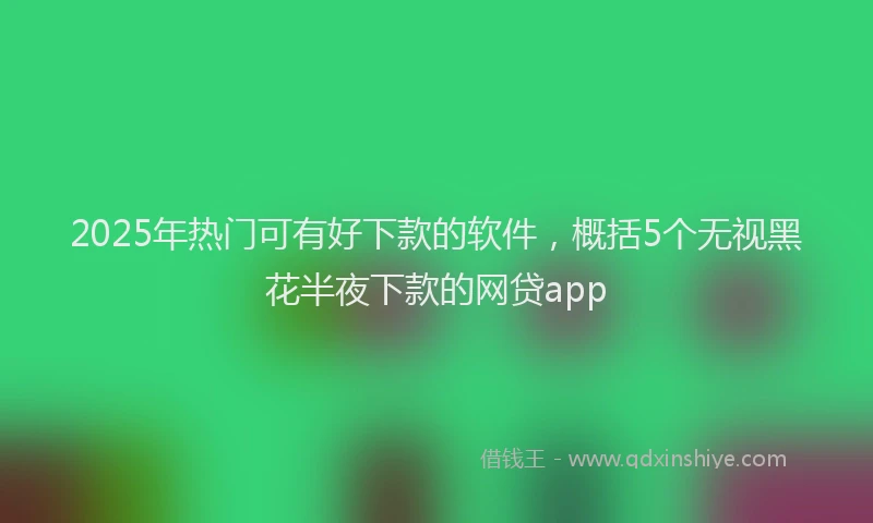 2025年热门可有好下款的软件，概括5个无视黑花半夜下款的网贷app