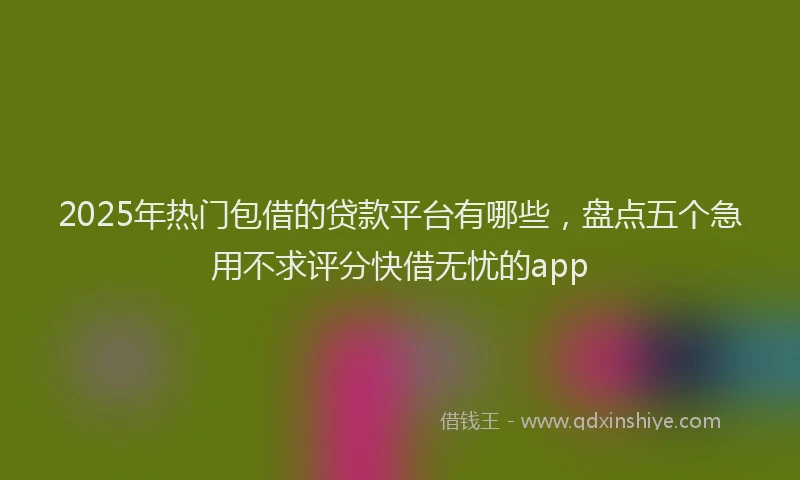 2025年热门包借的贷款平台有哪些，盘点五个急用不求评分快借无忧的app