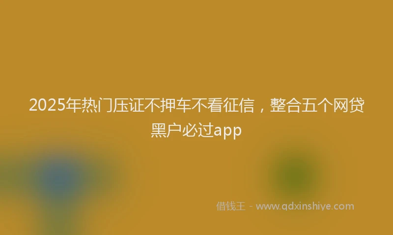 2025年热门压证不押车不看征信，整合五个网贷黑户必过app