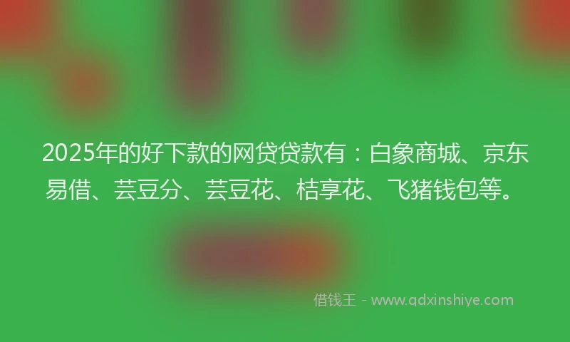 2025年的好下款的网贷贷款有：白象商城、京东易借、芸豆分、芸豆花、桔享花、飞猪钱包等。