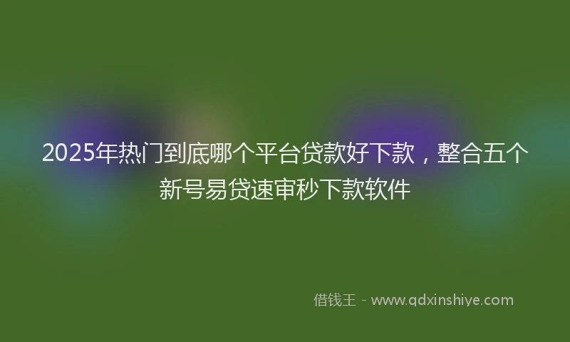 2025年热门到底哪个平台贷款好下款，整合五个新号易贷速审秒下款软件