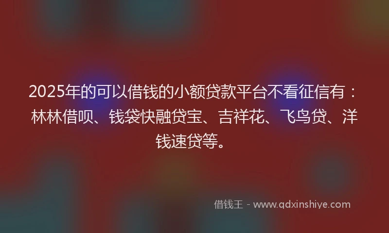 2025年的可以借钱的小额贷款平台不看征信有：林林借呗、钱袋快融贷宝、吉祥花、飞鸟贷、洋钱速贷等。