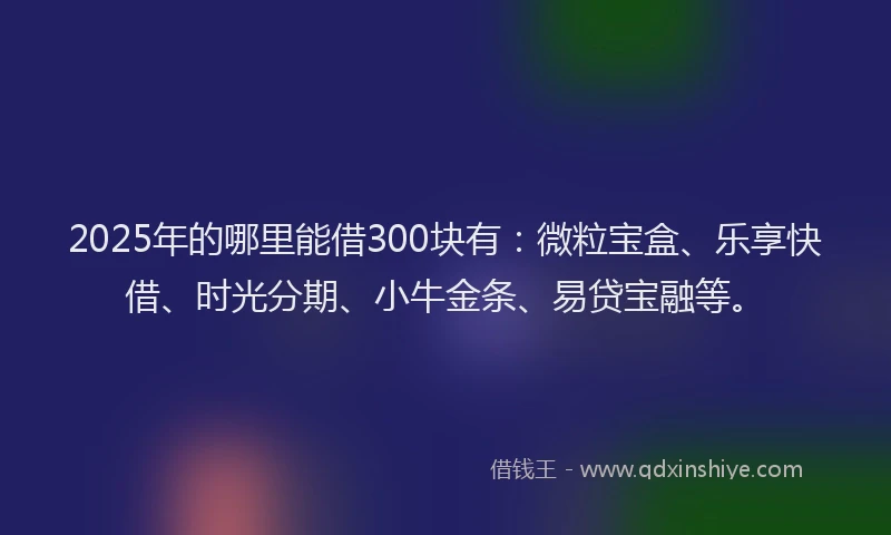 2025年的哪里能借300块有：微粒宝盒、乐享快借、时光分期、小牛金条、易贷宝融等。