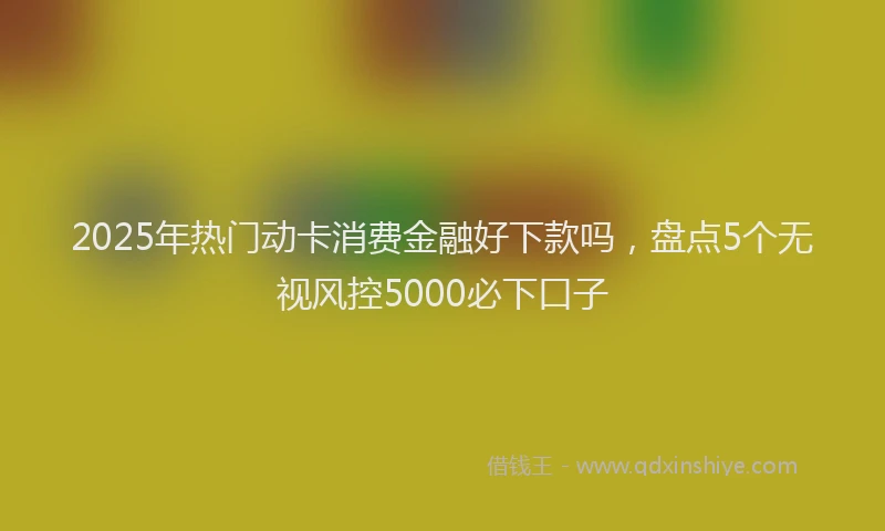 2025年热门动卡消费金融好下款吗，盘点5个无视风控5000必下口子