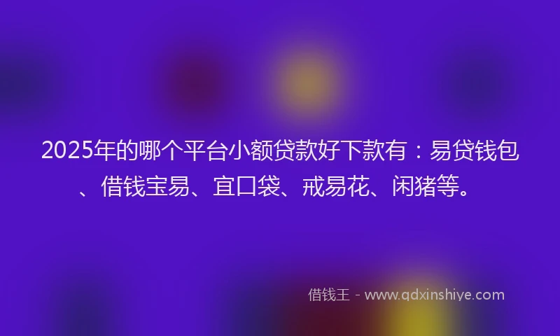 2025年的哪个平台小额贷款好下款有：易贷钱包、借钱宝易、宜口袋、戒易花、闲猪等。