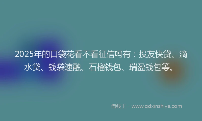 2025年的口袋花看不看征信吗有：投友快贷、滴水贷、钱袋速融、石榴钱包、瑞盈钱包等。