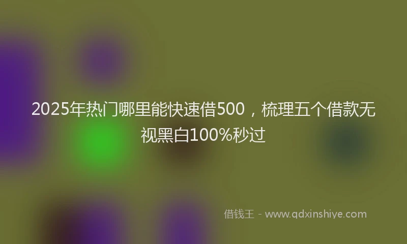 2025年热门哪里能快速借500，梳理五个借款无视黑白100%秒过