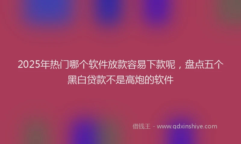 2025年热门哪个软件放款容易下款呢，盘点五个黑白贷款不是高炮的软件