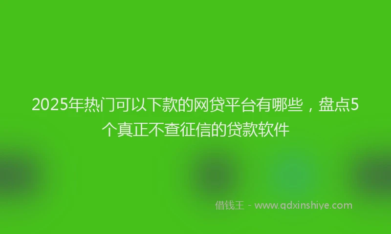 2025年热门可以下款的网贷平台有哪些，盘点5个真正不查征信的贷款软件