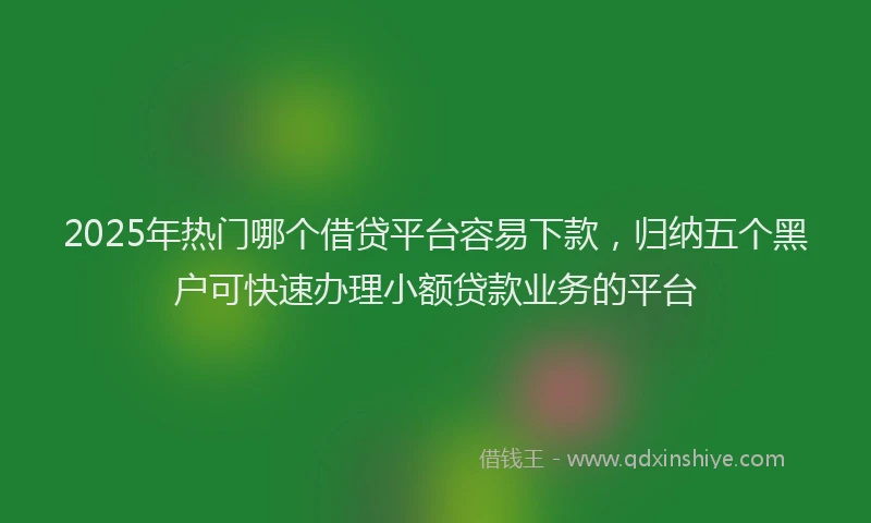 2025年热门哪个借贷平台容易下款，归纳五个黑户可快速办理小额贷款业务的平台