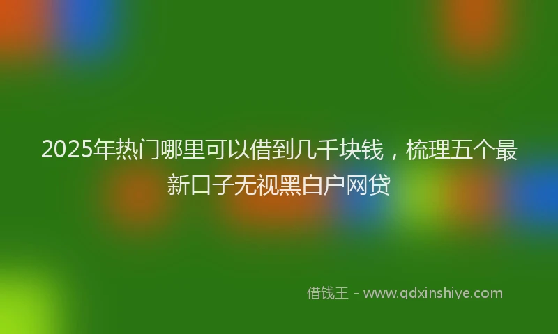 2025年热门哪里可以借到几千块钱，梳理五个最新口子无视黑白户网贷