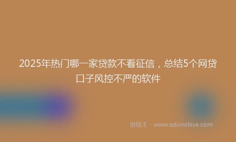 2025年热门哪一家贷款不看征信，总结5个网贷口子风控不严的软件
