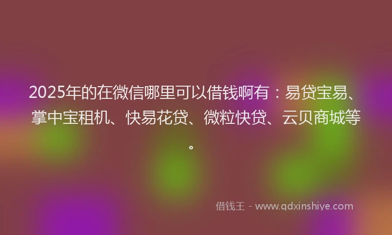 2025年的在微信哪里可以借钱啊有：易贷宝易、掌中宝租机、快易花贷、微粒快贷、云贝商城等。