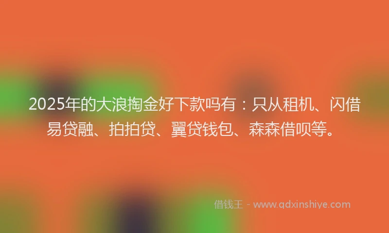 2025年的大浪掏金好下款吗有：只从租机、闪借易贷融、拍拍贷、翼贷钱包、森森借呗等。