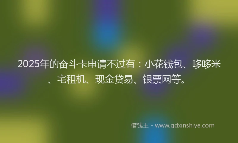 2025年的奋斗卡申请不过有：小花钱包、哆哆米、宅租机、现金贷易、银票网等。