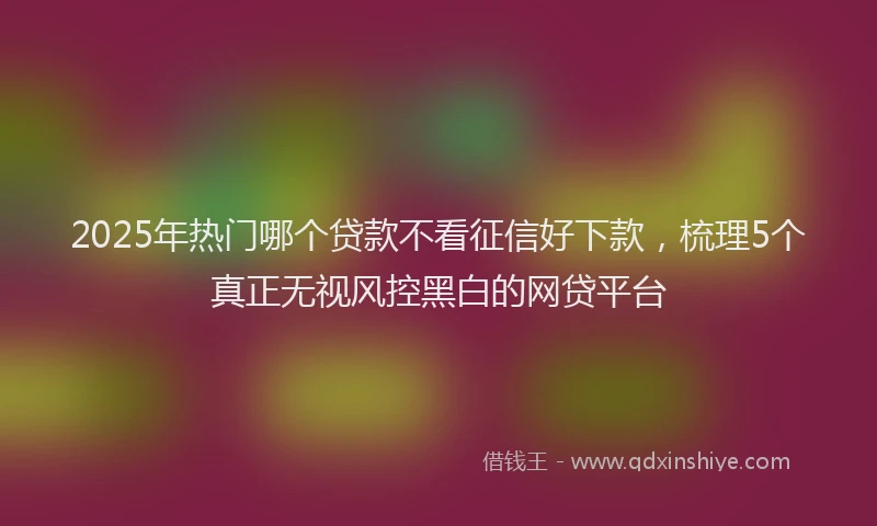 2025年热门哪个贷款不看征信好下款，梳理5个真正无视风控黑白的网贷平台