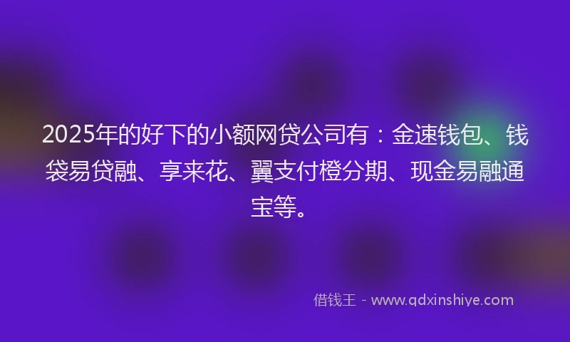 2025年的好下的小额网贷公司有：金速钱包、钱袋易贷融、享来花、翼支付橙分期、现金易融通宝等。