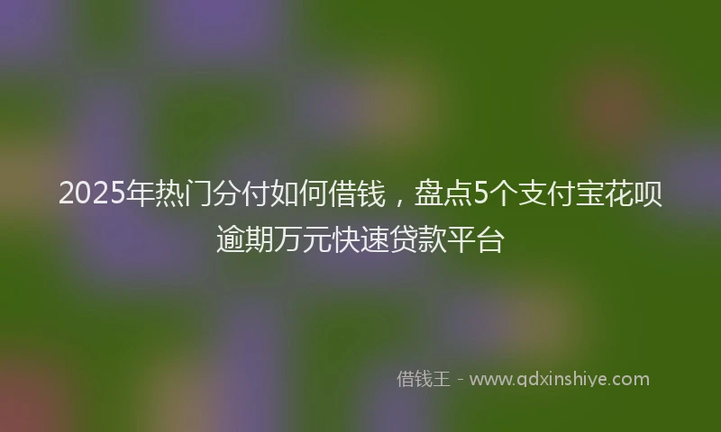 2025年热门分付如何借钱，盘点5个支付宝花呗逾期万元快速贷款平台