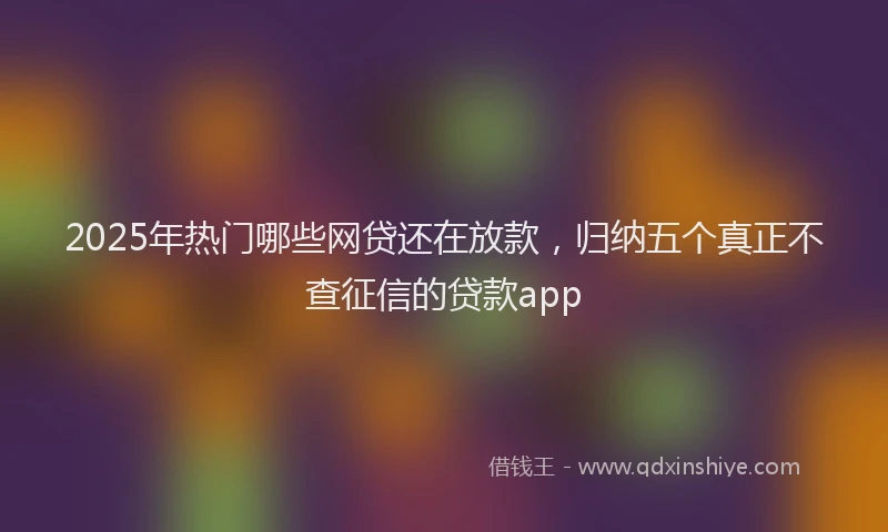 2025年热门哪些网贷还在放款，归纳五个真正不查征信的贷款app