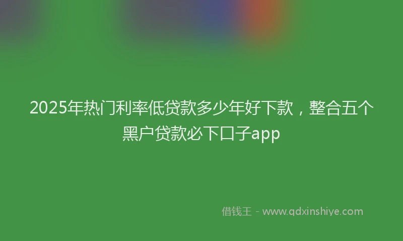 2025年热门利率低贷款多少年好下款，整合五个黑户贷款必下口子app