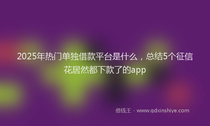 2025年热门单独借款平台是什么，总结5个征信花居然都下款了的app