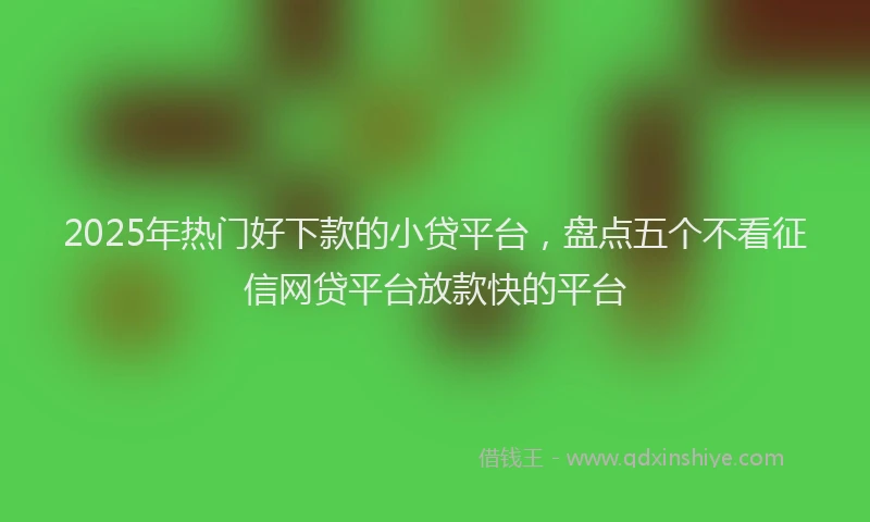 2025年热门好下款的小贷平台，盘点五个不看征信网贷平台放款快的平台