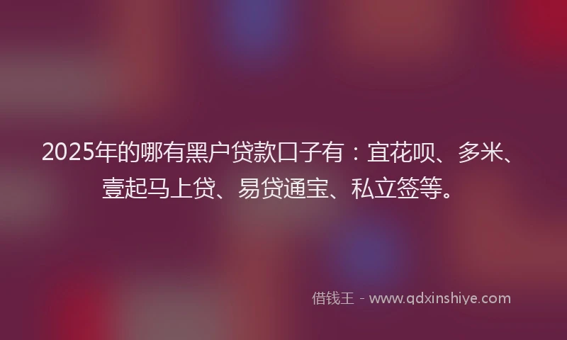 2025年的哪有黑户贷款口子有：宜花呗、多米、壹起马上贷、易贷通宝、私立签等。