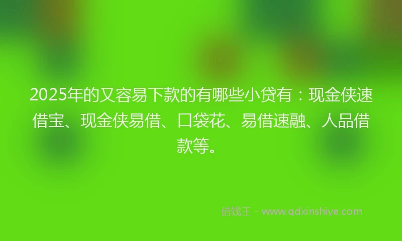 2025年的又容易下款的有哪些小贷有：现金侠速借宝、现金侠易借、口袋花、易借速融、人品借款等。