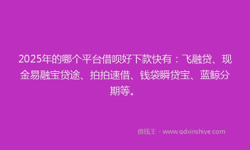 2025年的哪个平台借呗好下款快有：飞融贷、现金易融宝贷途、拍拍速借、钱袋瞬贷宝、蓝鲸分期等。