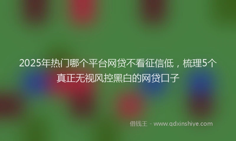2025年热门哪个平台网贷不看征信低，梳理5个真正无视风控黑白的网贷口子