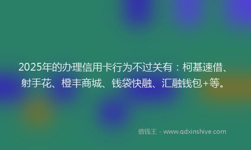2025年的办理信用卡行为不过关有：柯基速借、射手花、橙丰商城、钱袋快融、汇融钱包+等。