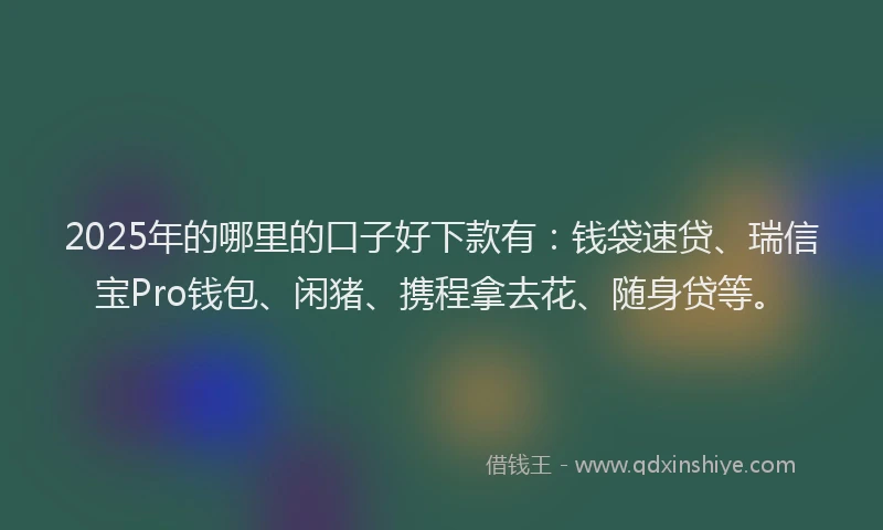 2025年的哪里的口子好下款有：钱袋速贷、瑞信宝Pro钱包、闲猪、携程拿去花、随身贷等。