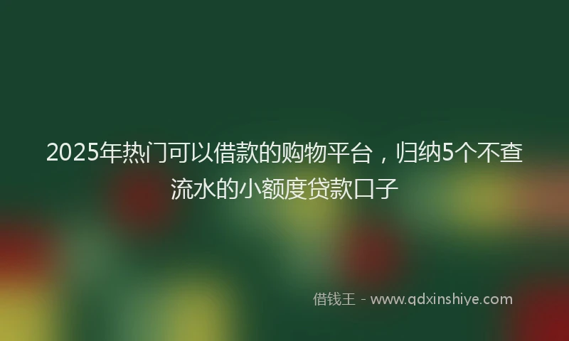 2025年热门可以借款的购物平台，归纳5个不查流水的小额度贷款口子