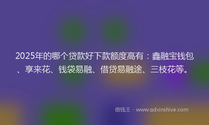2025年的哪个贷款好下款额度高有：鑫融宝钱包、享来花、钱袋易融、借贷易融途、三枝花等。